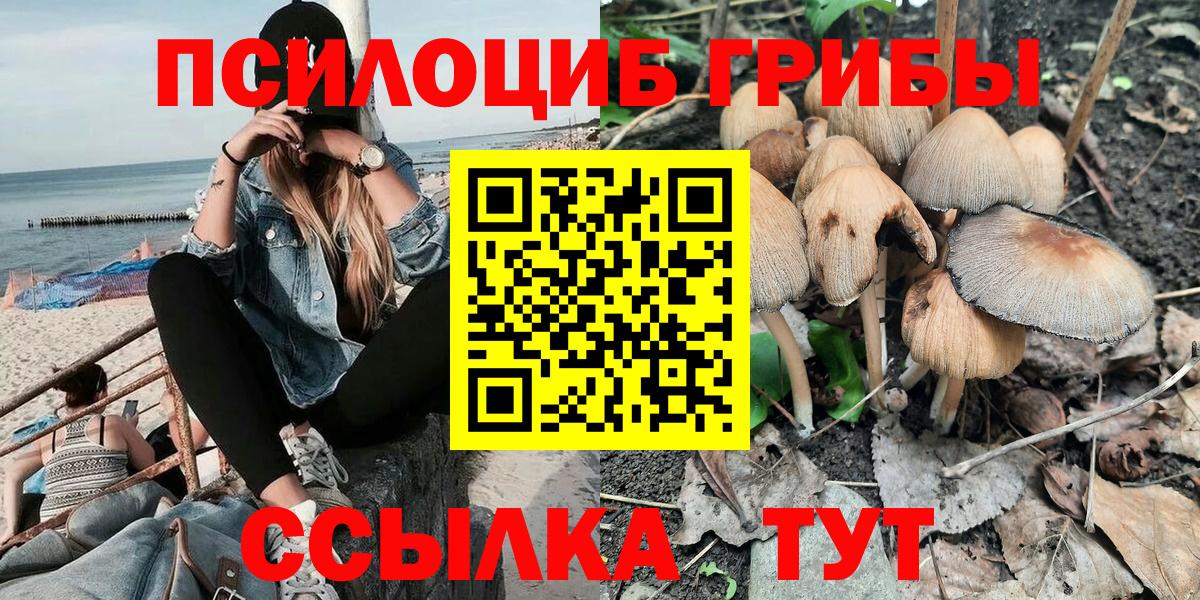 Галлюциногенные грибы Psilocybine cubensis  Вход с VPN  Хасавюрт 